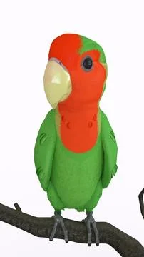 Parrot on branch with white background Stock Illustration