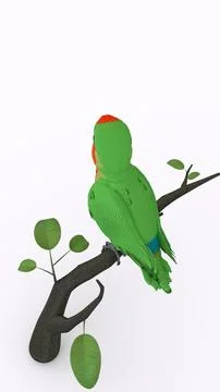 Parrot on branch with white background Illustrazione stock