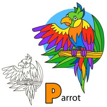 Parrot. Coloring book page Stock Illustration