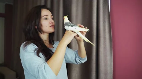 Parrot Corella on the table looks at himself in the mirror. 4k Stock Footage 141540138