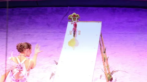 Parrot cycling 動画素材 43754113