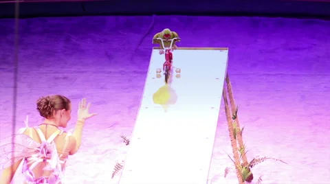 Parrot cycling 動画素材 43813148