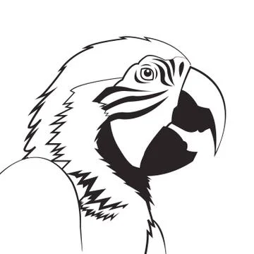 Parrot drawing icon Stock Illustration