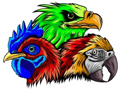 Parrot eagle and rooster head vector illustration Stock Illustration