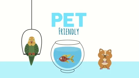 Parrot with fish and guinea pig pets animation Stock Footage 158758246