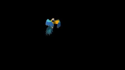 Parrot Flies Alpha Matte 3D Rendering Animation Animals Stock Footage