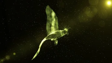 Parrot in flight, glowing abstract bird flying through particles 動画素材 85653232