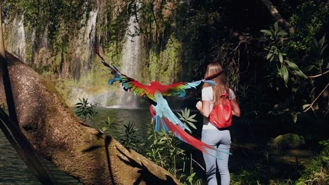 Parrot flying to the tree while young woman looking to the waterfall in the Stock Footage 106484782