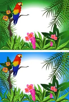 Parrot Frame Stock Illustration