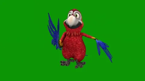 Parrot green screen standing its hinds blue red feathers back animated Stock Footage 314068019