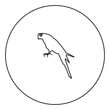 Parrot icon black color in circle Illustrazione stock