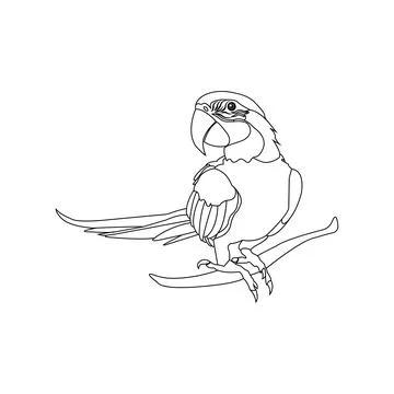 Parrot icon Stock Illustration