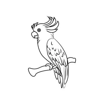 Parrot icon Stock Illustration