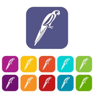 Parrot icons set 스톡 일러스트