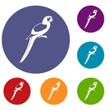 Parrot icons set Illustrazione stock