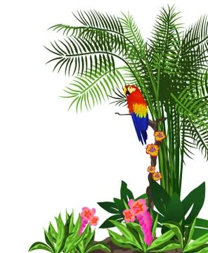 Parrot Stock Illustration