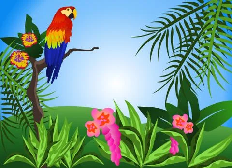 Parrot Stock Illustration