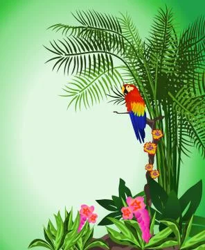 Parrot Stockillustratie