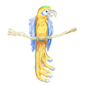 Parrot Stock Illustration
