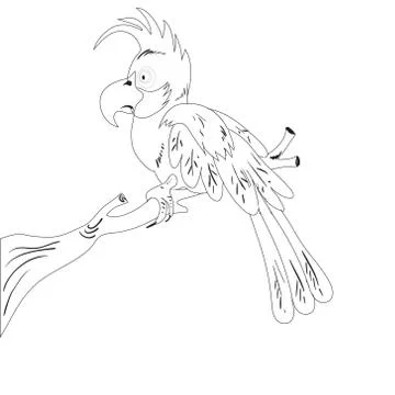 Parrot イラスト素材