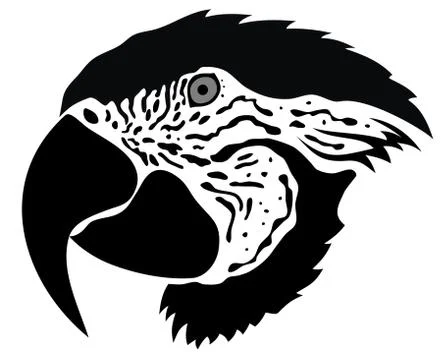 Parrot Stock-Illustration