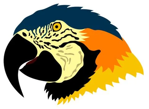Parrot Stock Illustration