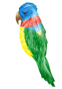 Parrot Stock Illustration