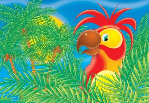 Parrot Stock Illustration