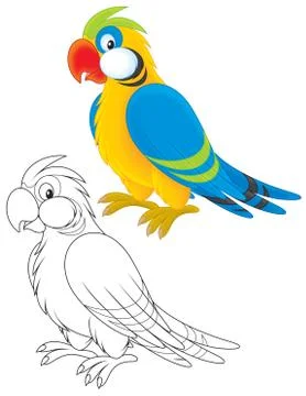 Parrot Stock Illustration