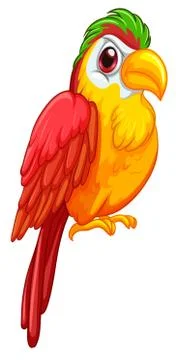 Parrot Stock Illustration