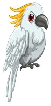 Parrot Stock Illustration