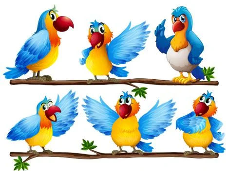 Parrot Stock Illustration