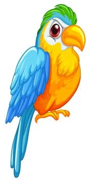Parrot Stock Illustration