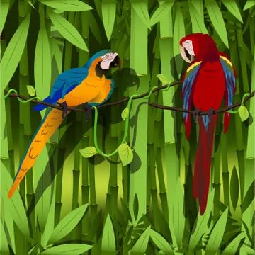 Parrot Illustrazione stock
