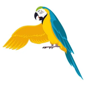 Parrot Stock Illustration