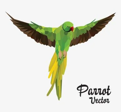 Parrot イラスト素材
