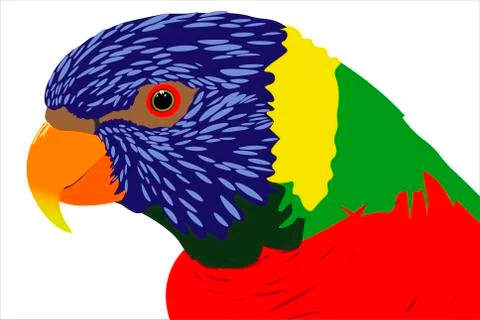 Parrot Stock Illustration
