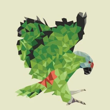 Parrot Stock Illustration