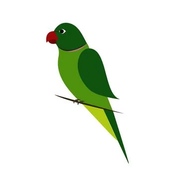 Parrot Illustrazione stock