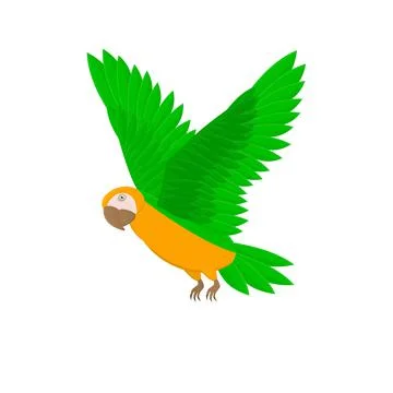 Parrot Stock Illustration