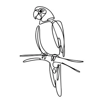Parrot line art vector Ilustración de archivo