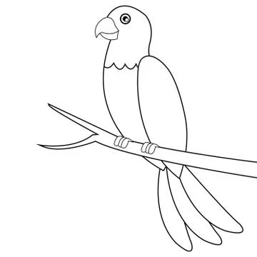 Parrot line icon Stock Illustration