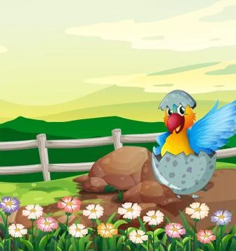 Parrot macaw hatching egg Illustrazione stock