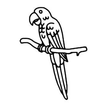 Parrot macaw, vector illustration Stock Illustration