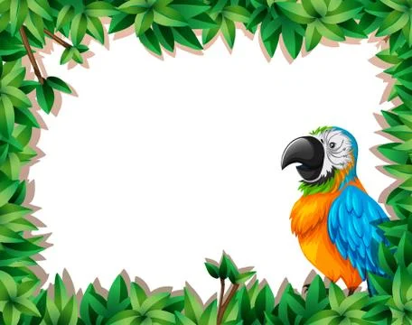 A parrot on nature frame Stock Illustration