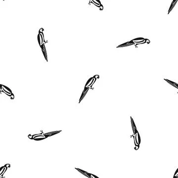 Parrot pattern seamless black 스톡 일러스트