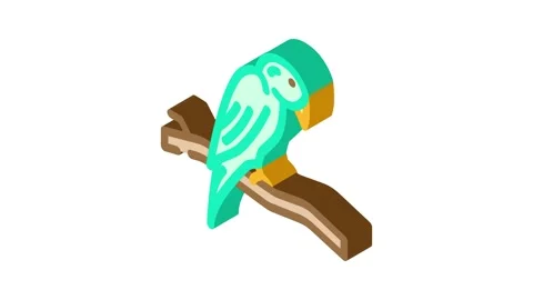 Parrot perched branch isometric icon animation Stock Footage 327279264
