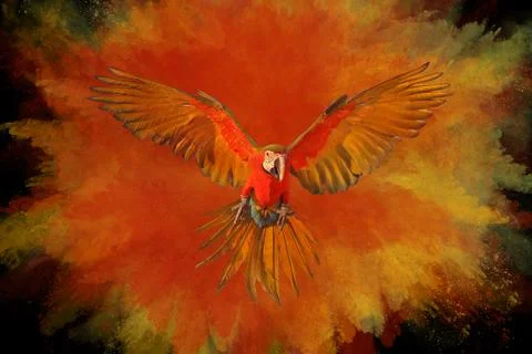 Parrot Foto stock