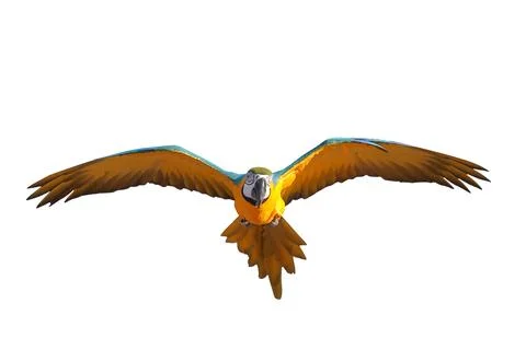 Parrot Foto stock