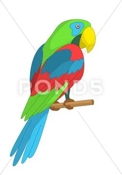 Parrot on a pole Stock Illustration